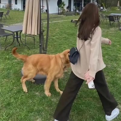 危险恶邻